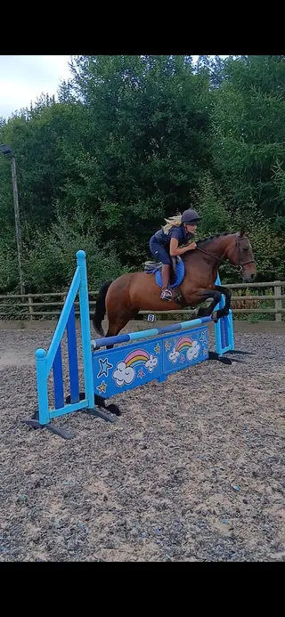 Great PC/RC pony