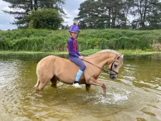 Stunning palomino 2nd pony 