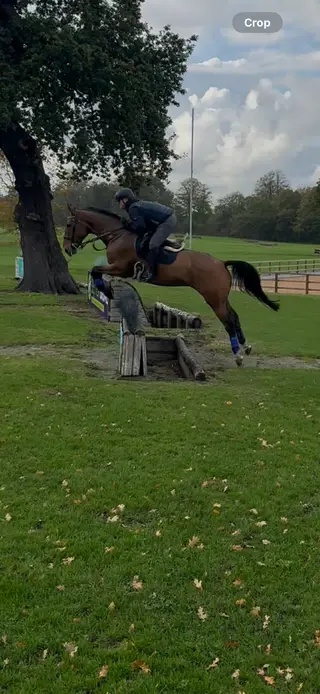 Reduced if sold this week after massive time waster