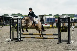 Super Connemara Mare