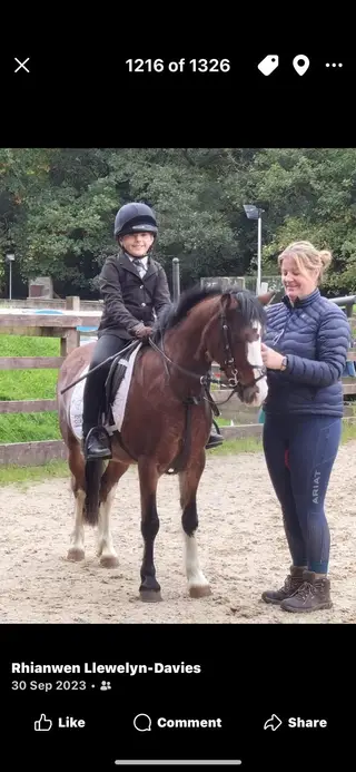 Versatile Pony Club Superstar – Safe & Ready to Go