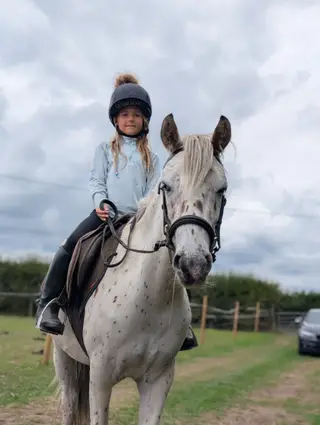 Stunning roan appaloosa gelding 