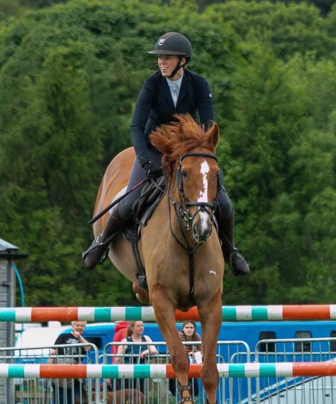 Horse for Sale Schoolmaster, fit & ready to win!