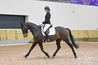 Amatures dressage horse and best friend 