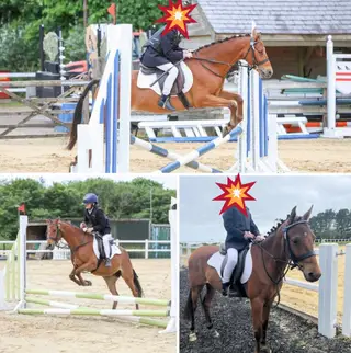 Bow the British riding pony 