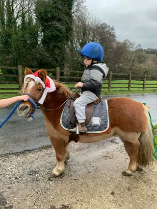 Goldie, the most genuine tiny tots ridden pony