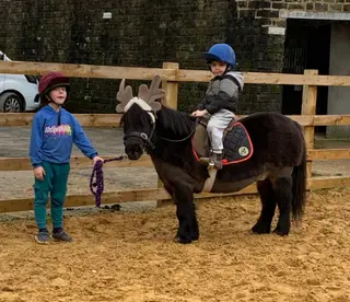 🌟 Real life unicorn ready to enjoy all aspects of pony care , fun , love and riding 🌟