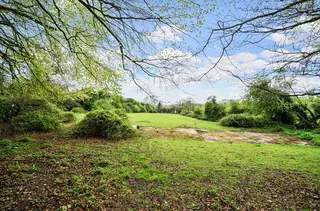 Advert photo