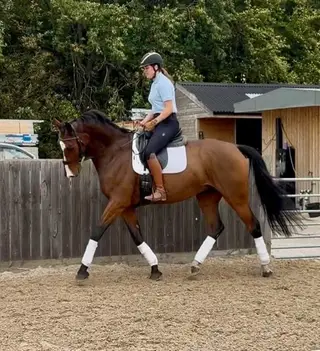 Super smart schoolmaster
