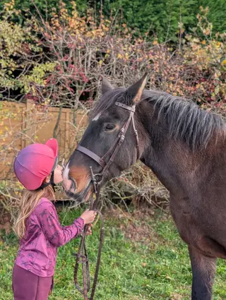 Betsy - Super Quiet Cob