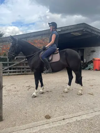 Hunting Cob