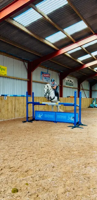 Quality Connemara with performance breeding.