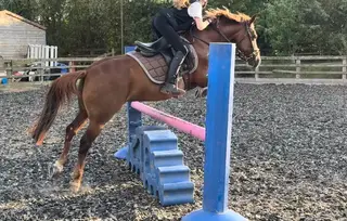 The Ultimate Allrounder / PC / Hunting Machine / Family Favourite Hack! 