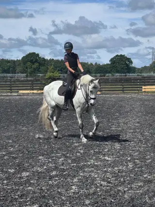 Safe, Genuine & Talented Connie- Oakley