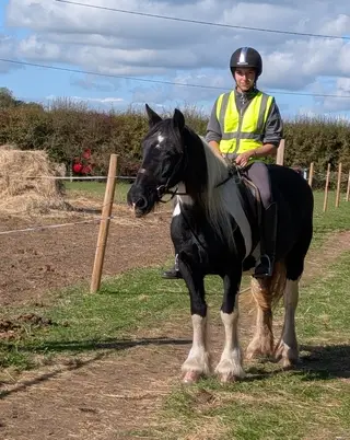 Dolly - Approx 14.2hh Cob