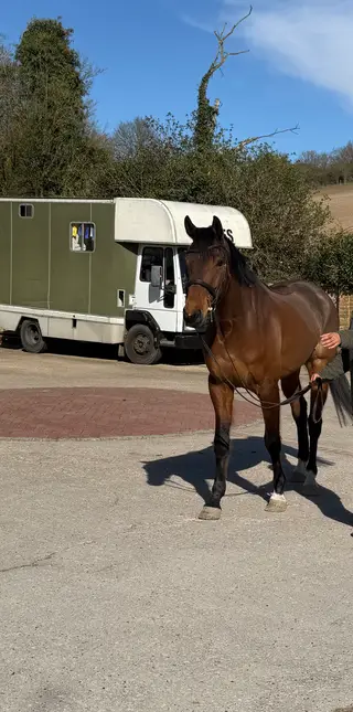 🎶Genuine , handsome and talented!🎶