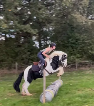 Beautiful stamp of a cob 