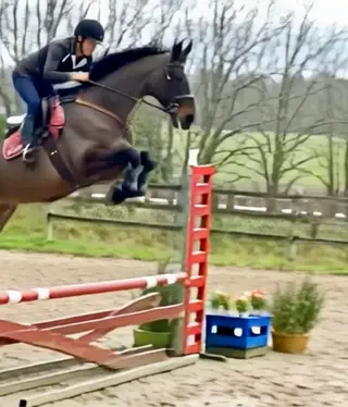 Beautiful mare Cornet Obolensky/Baloubet Du Rouet/Quito De Baussy/Diamond Lad