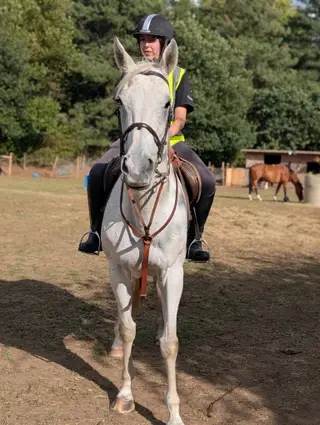 Flea bitten grey mare 