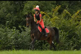 Fantastic Allrounder Pony