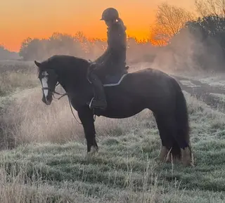 Super Safe Ride & Drive Partner