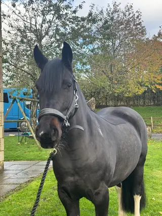 Kind & Genuine All Rounder