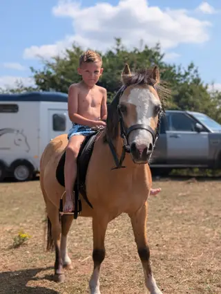 Child's pony (Popcorn)  