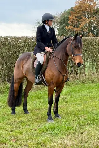 Perfect pony club / mothers dream  