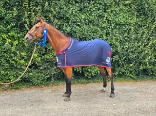 Talented British Novice winner - lots of scope to progress