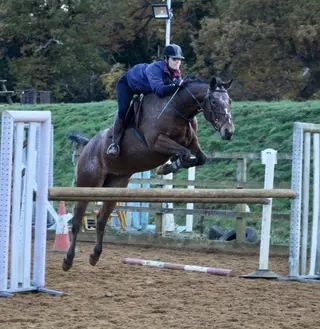 Fun jumping/hunting mare.