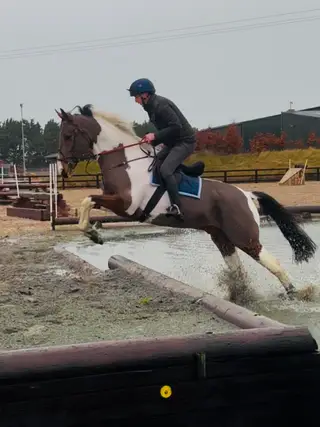 4 Year Old Coloured Gelding- Serious Potential