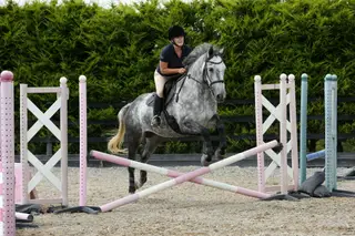 Pure ID Mare 
