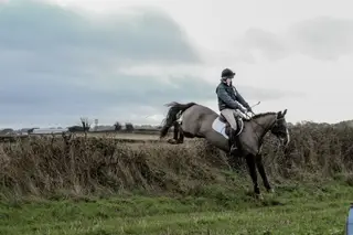 Honest hunting pony!