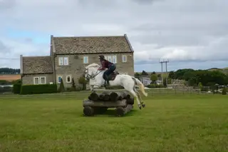 SIMPLY MR FUN 16hh Super Allrounder