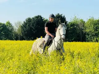 Super Safe Straightforward & Easy Ride- PRINCESS