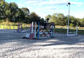 Talented Jumping Pony