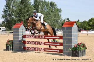 Good Honest Allrounder by Big Star