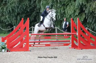 Charlie 148 / 14.2hh 12YO Gelding. BS, NSEA, PC.
