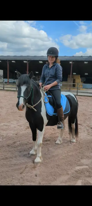 3yr old, Coloured cob, 13.2hh, Roxy