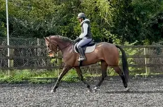 IDEAL MOTHER DAUGHTER SHARE, OR FOR A TEENAGER TO PRODUCE ON