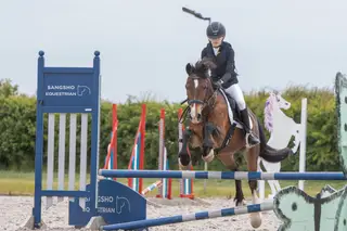 All Rounder Pony Club 13.2hh Welsh C Mare