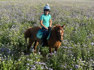 Super pony club/all rounder