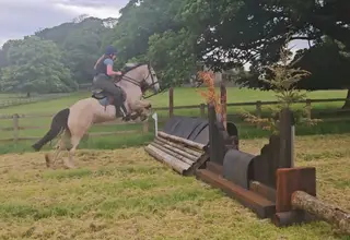 Beautiful, talented & kind dun & white mare