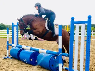 Rose – the kind, clever, and classy Connemara everyone’s wants!