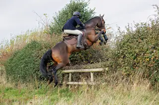 Advert photo